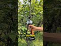 gunting super #shortsvideo #videoshort #videoviral #viral #gunting