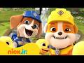 Rubble | As maiores aventuras na natureza do Rubble! | 30 minutos | Nick Jr. em Português