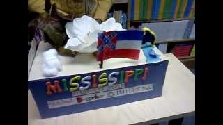 Mississippi State Float by Python