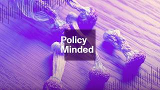 Psychedelics Policy Is Changing. Now What?