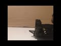 DK-2 Guard Sledding