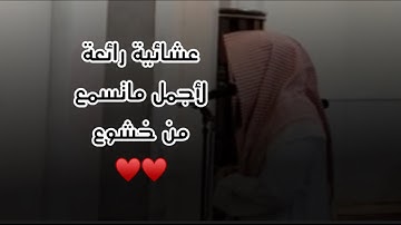 عشائية جديدة رائعة للقارئ عبدالرحمن ناجي لأجمل محاكاة للحيدان من سورة النور 1446