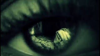 Zeitgeist Addendum (Trailer) | 2008 | Documentary | Playster