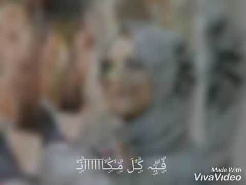 قصاد عيني ف كل مكان