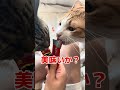 ちゅ〜るサンキュっちゅ! #ゲイ #BL #ゲイ能人 #垣くん #BL王 #vlog