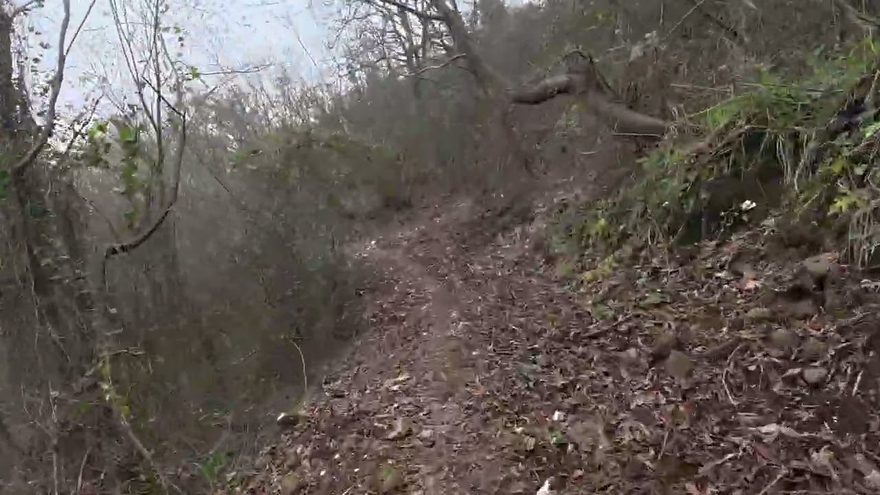 Castello Single track Arienzo 1/03/2026