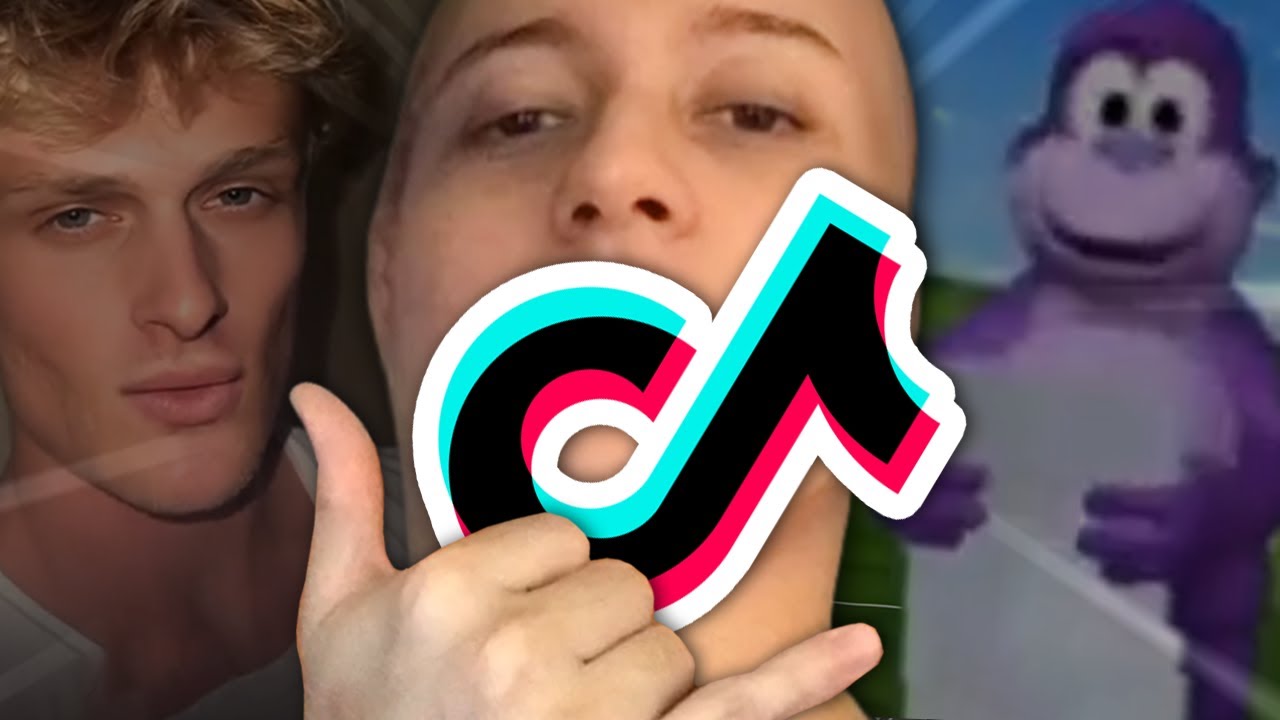 EXPLOREI O MUNDO PERFEITO DOS TIKTOKS DE VOCÊS