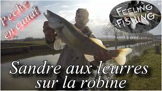 Peche du sandre aux leurres souples en canal - Gopro HD