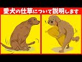 一見おかしいと思う 犬の仕草に隠された本当の意味 21選