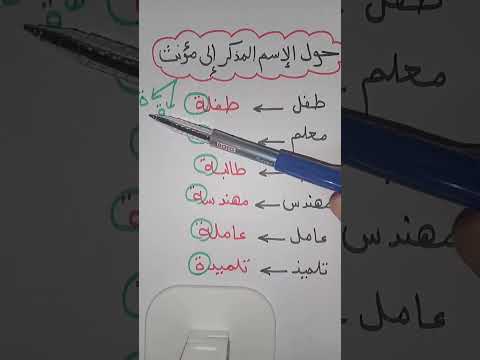 التأنيث للصف الثانى الابتدائى