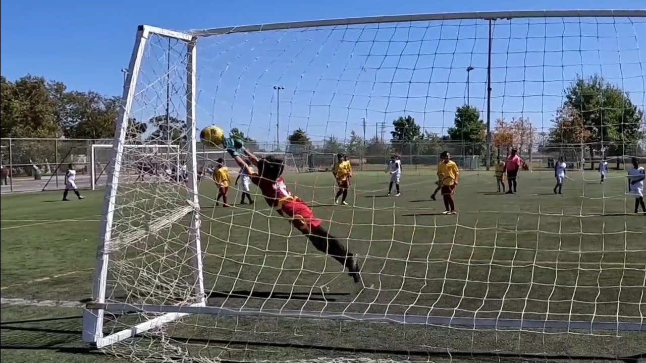 Goalie Highlights YouTube