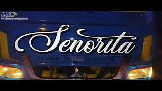Truck Modified Indonesia 'SENORITA' - CCTV BALONGPANGGANG