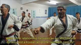 El Arte Del Tang Soo Do