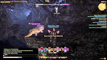 FINAL FANTASY XIV   A Realm Reborn Coerthas Glitch.