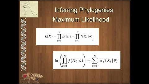 BIOL 4330 Unit 1 8 2 Maximum Likelihood