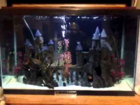 harry potter fish tank decorations