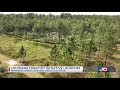 The Louisiana Forestry Initiave launches: How habitat management benefits owners and ecosystems