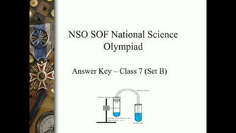NSO class 7 Answer Key Set B - Part 2
