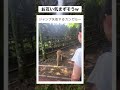 大丈夫ですか?は草 #shorts #カンガルー #おもしろ