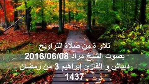 تلاو ة من صلاة التراويح 2016/06/08 بصوت الشيخ مراد دبياش و القارئ إبراهيم 3 من رمضان 1437