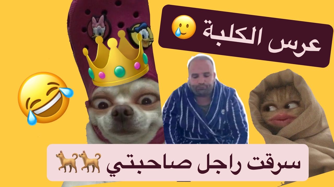 عرس الكلبة 🥲 مايمكنش التبهديلة لي درت فراسي😂 خطفت خطيب صاحبتي #قصص_مغربية_واقعية #قصص_زينب 