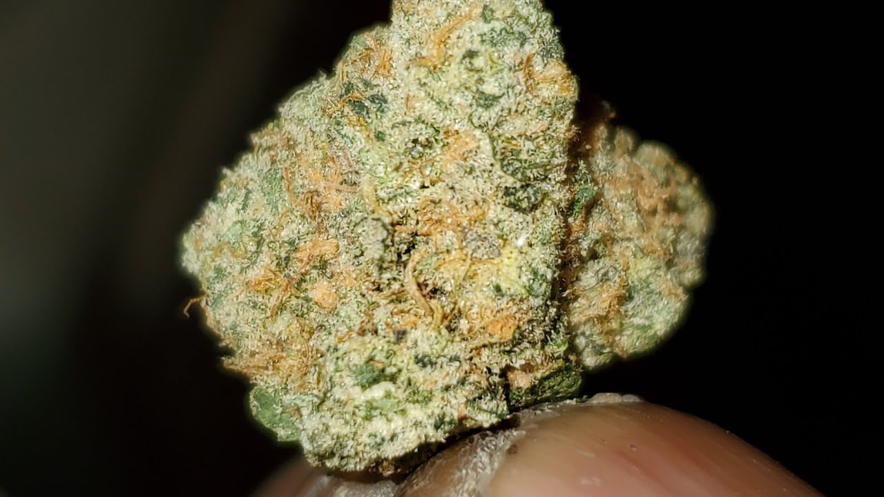 MONSTER COOKIES STRAIN WAKE AND BAKE STYLE