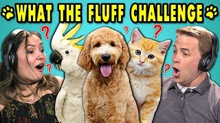 ADULTS REACT TO WHAT THE FLUFF CHALLENGE (Confusing your Pets Challenge!)