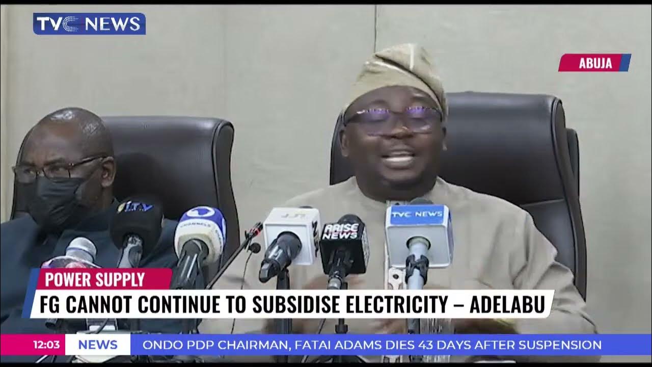 FG Cannot Continue To Subsidy Electricity – Adelabu