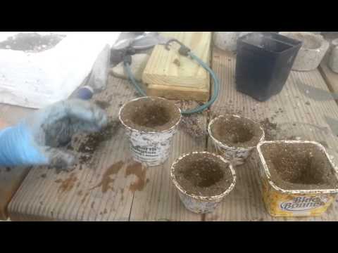 The Hypertufa Gardener Tips_Using Up Leftover Mix