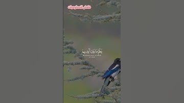 آية الكرسيّ.                                      #آية_الكرسي #سورة_البقرة #القرآن_الكريم