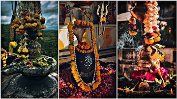 Mahadev status Video 💫Bholenath status ☘️ Mahakal status 🙏 Mahashivratri status Video #mahadev
