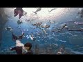 World record one hundred 100 mermaids gathering