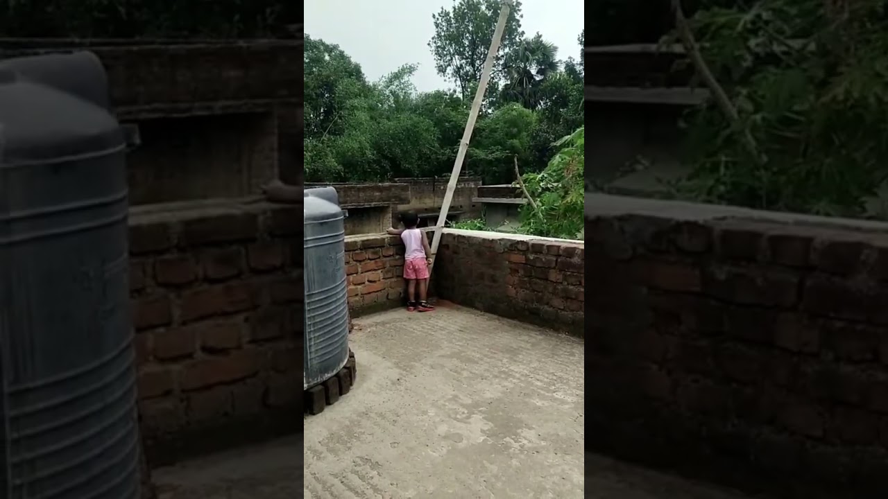 মেঘলা মেঘলা দিনে সারাদিন ছাদে খেলা করছে.. 