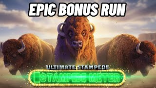 High Limit Buffalo Ultimate Stampede For The Win