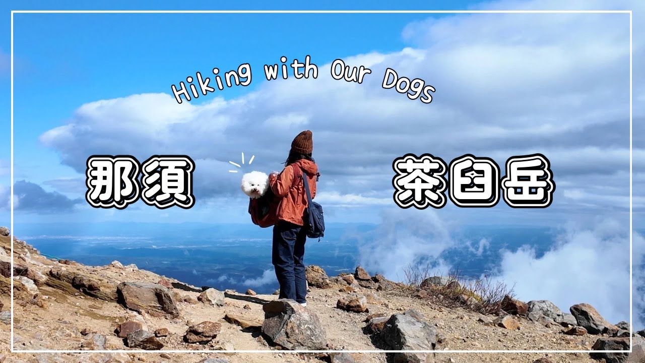 【愛犬と那須】登山に初挑戦！9合目から頂上を目指す過酷で楽しい紅葉狩り｜那須岳・茶臼岳・那須ロープウェイ｜ビションフリーゼ