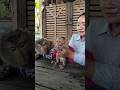 Great Video Of SokYaa ToTo Phao And Sokhaa Are HARMONY And Fun Will MAKE YOU SMILE Great Video Of SokYaa ToTo Phao And Sokhaa Are HARMONY And Fun Will MAKE YOU SMILE