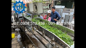 MÁY RỬA RAU CÔNG NGHIỆP SIÊU SẠCH CÓ SỤC KHÍ OZONE. DÂY CHUYỀN MÁY RỬA RAU CỦ CÔNG NGHIỆP