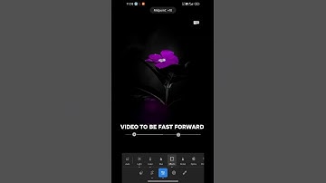 Lightroom flower colour grading tutorial 🌸💜#lightroom #photoediting #flowers @Srwphotozone
