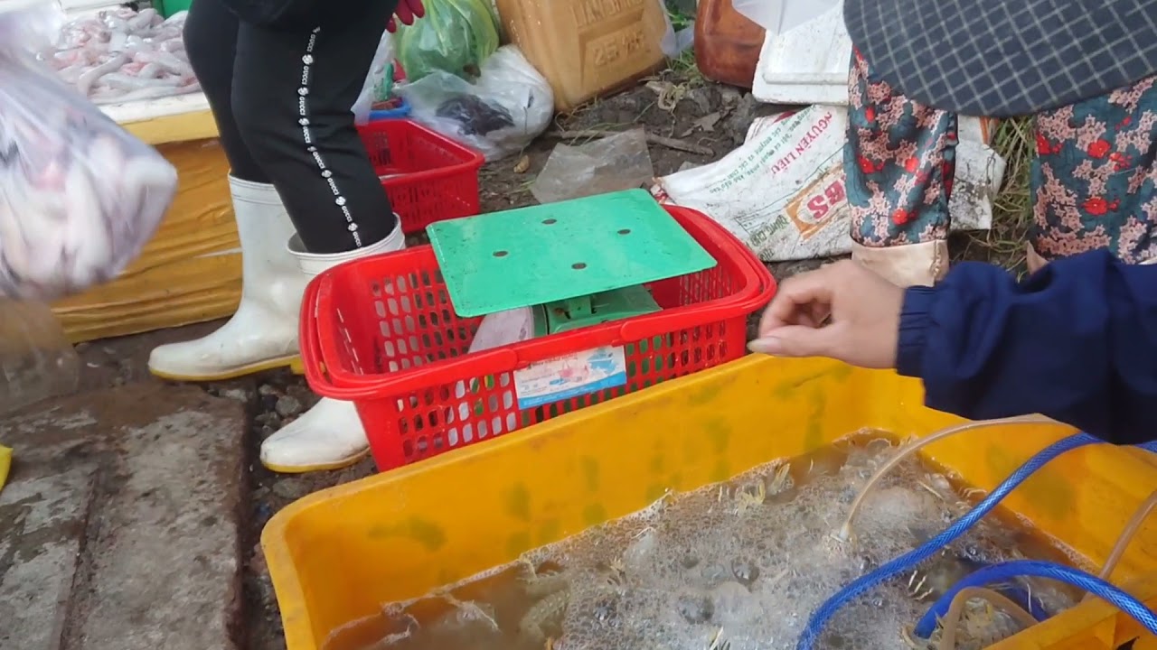 hải sản tươi ngon Update New HẢI SẢN TƯƠI NGON QUÊ TÔI! /Cuộc sống làng quê.FRESH SEAFOOD MY COUNTRY! Village life.