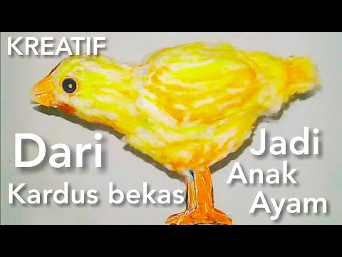 Cara Membuat Boneka  Anak Ayam  Dari  Kardus  Bekas Membuat Itu