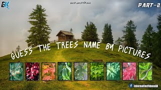 Guess The Trees Name by Pictures | Quiz Time | Informative Videos GK | General Knowledge | 28 April