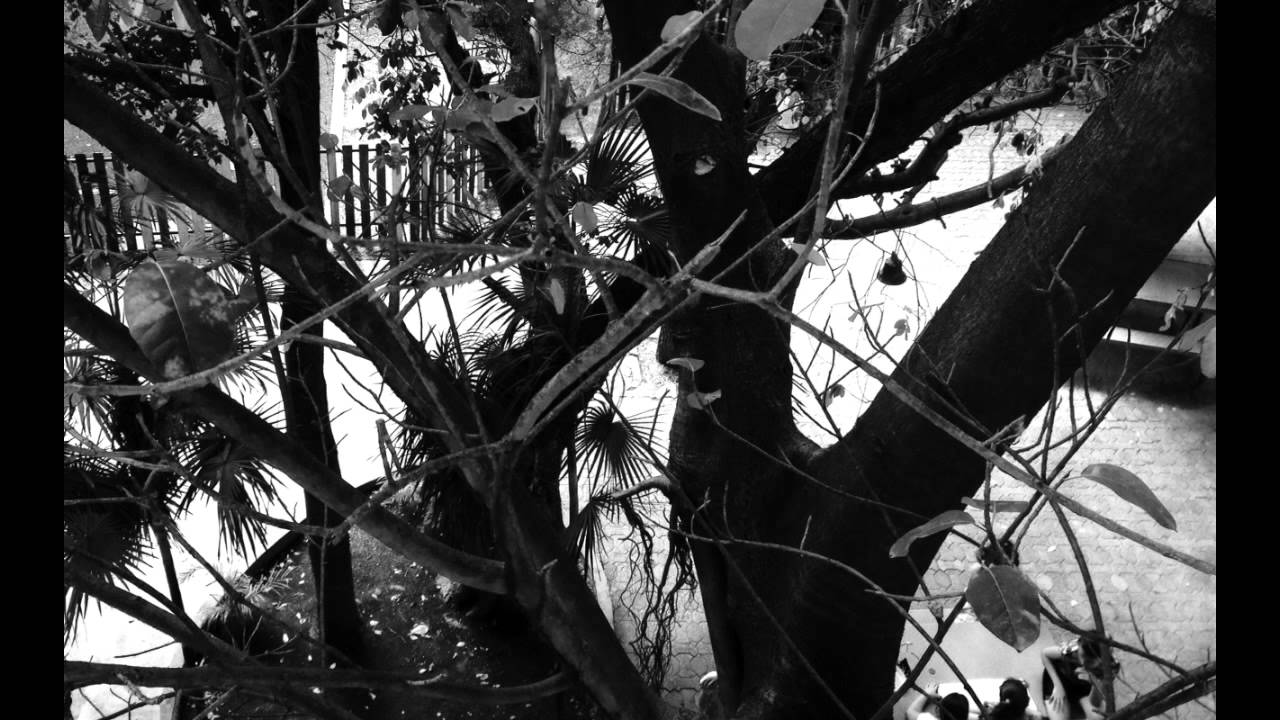 Student Photography Images in Black & White