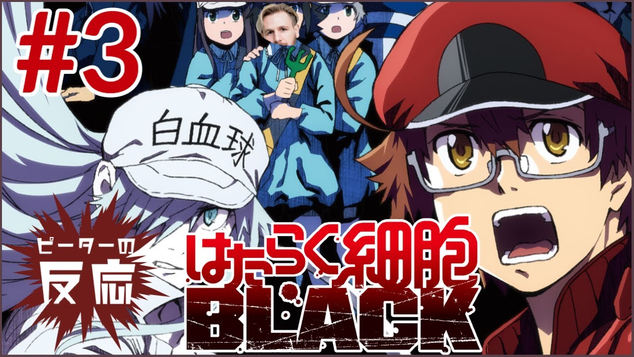 ピーターの反応 はたらく細胞black 3話 Hataraku Saibo Black Ep 3 アニメリアクション Yayafa