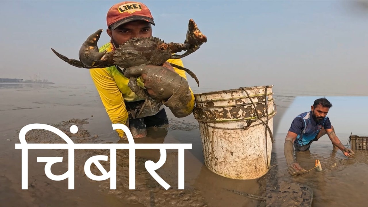 दीड तासानंतर मिळाला पाण्यात चिंबोरा 🦀 | huge mud crab hunting