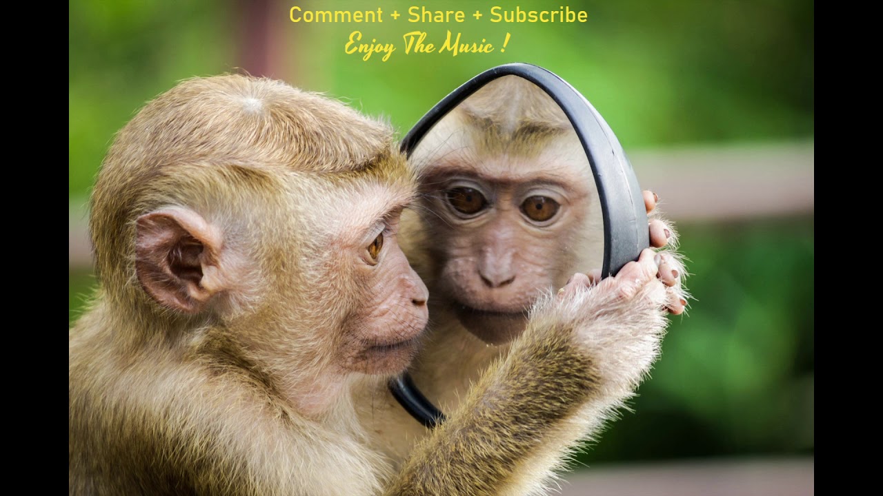 Happy Feel Good Background Music YouTube