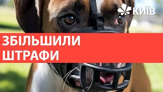 В Україні виросли штрафи за вигул собак без намордників