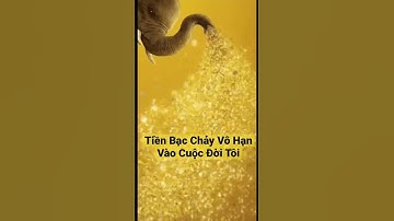 Thu Hút Tiền Bạc Vô Hạn #thuhuttien #luathapdan