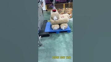 Cobot tự động xếp bao lên pallet #cobot #robotcongtac #intechgroup #palletizingrobot