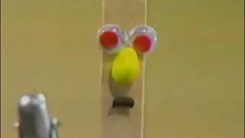 Stick Stickly (1995)
