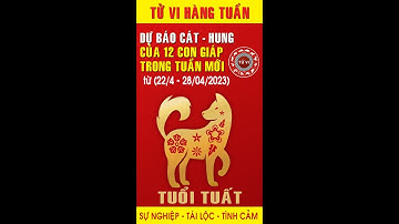 Cát vận, Hung vận & Tài lộc của Tuổi Tuất trong tuần mới (22/4 - 28/4/2024) #tuvi #tuvihangtuan